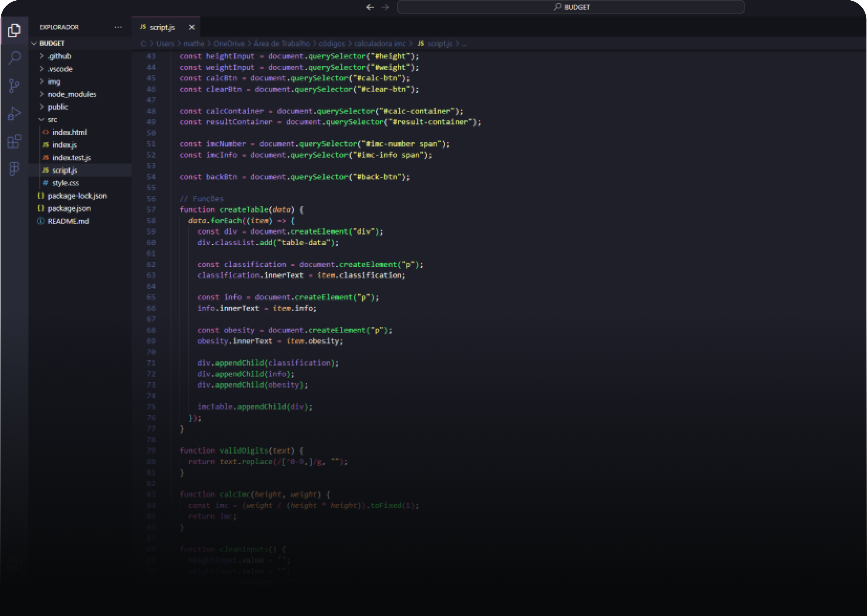 img-interface-vscode